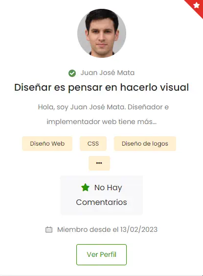 Disenador Web 1.webp