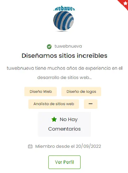 Disenadores Web Freelance 1.webp